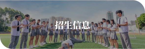 招生信息